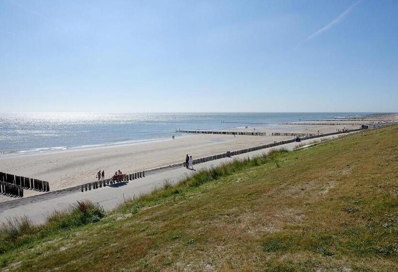 B&b Witvliet, Kamers En Studio Met Heerlijk Ontbijt !