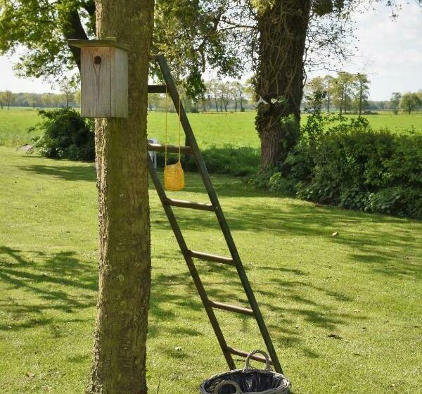 צימר De Beddestee