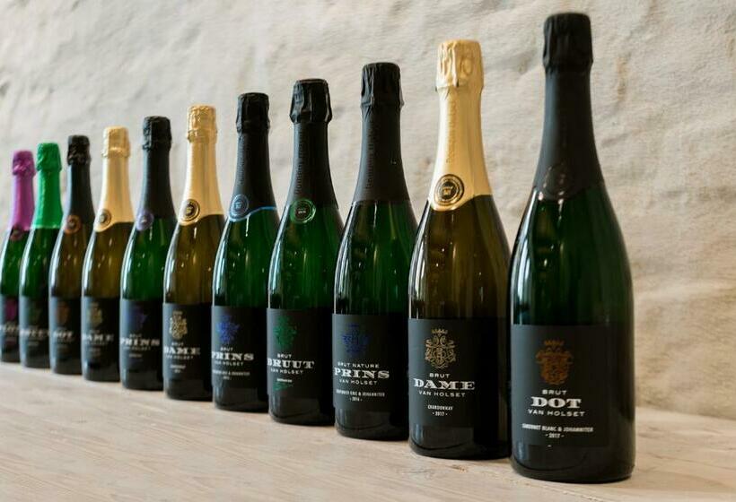 민박 Domein Holset Bruisendwijnhuis