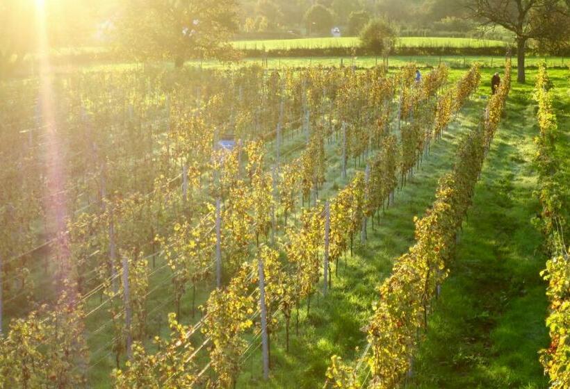 민박 Domein Holset Bruisendwijnhuis