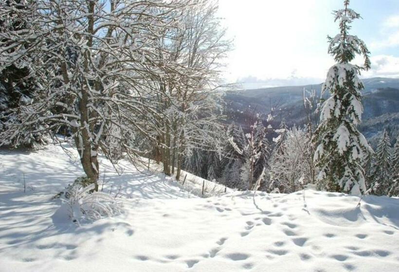 צימר Gästehaus Fridolin