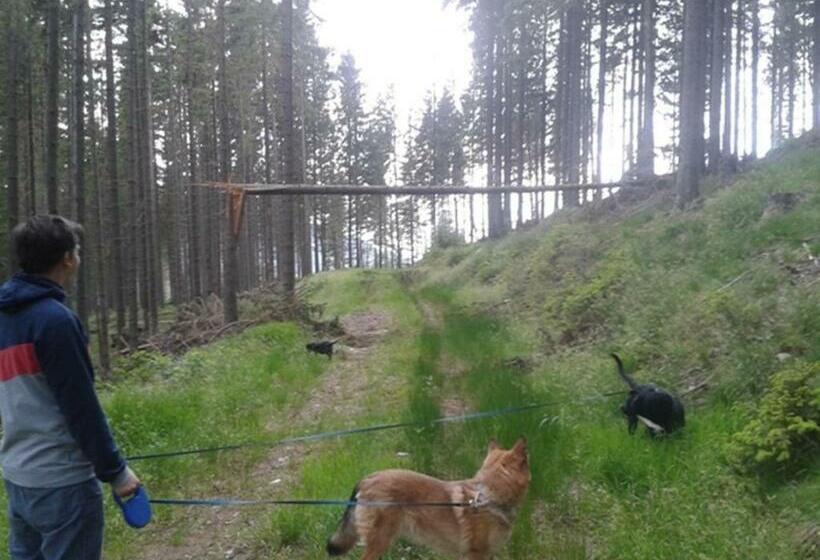 צימר Gästehaus Fridolin