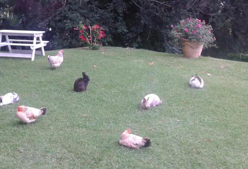 تختخواب و صبحانه Villa La Croix Basque