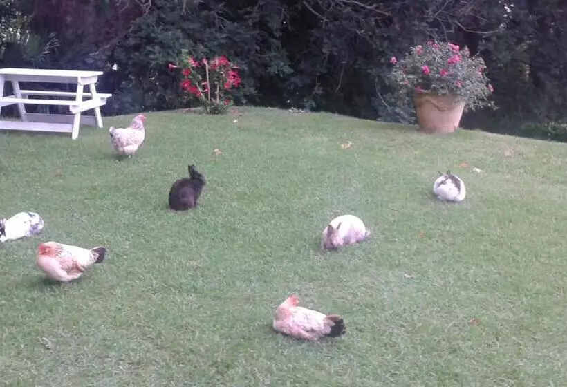 Aamiaismajoitus (B&B) Villa La Croix Basque