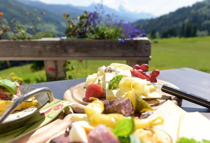 Отель Gailerhof