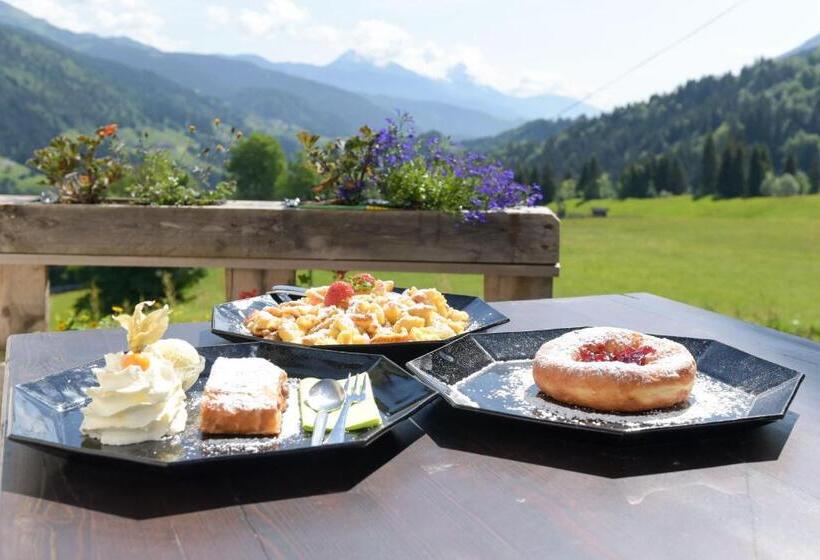 Отель Gailerhof