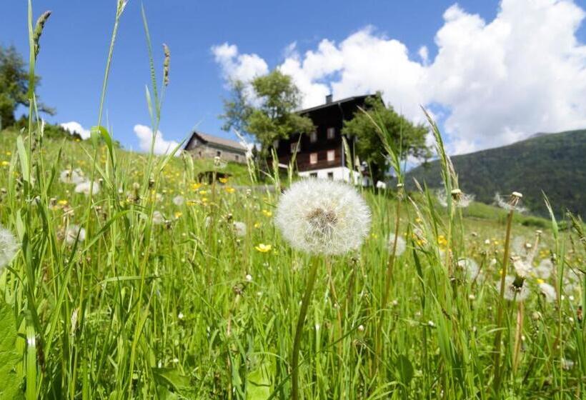 Отель Gailerhof