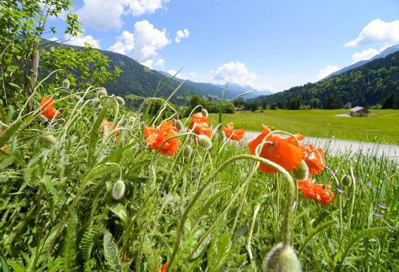 Отель Gailerhof