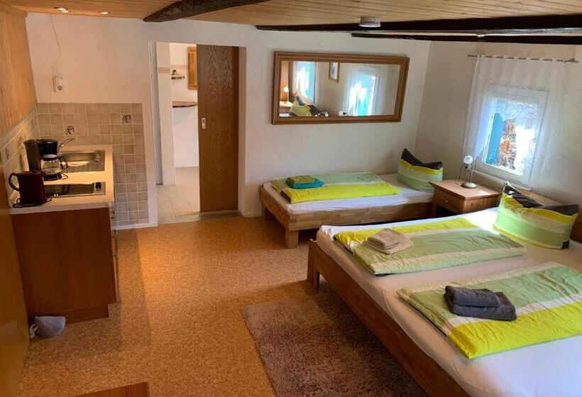 بنسيون Haus Bergfriede