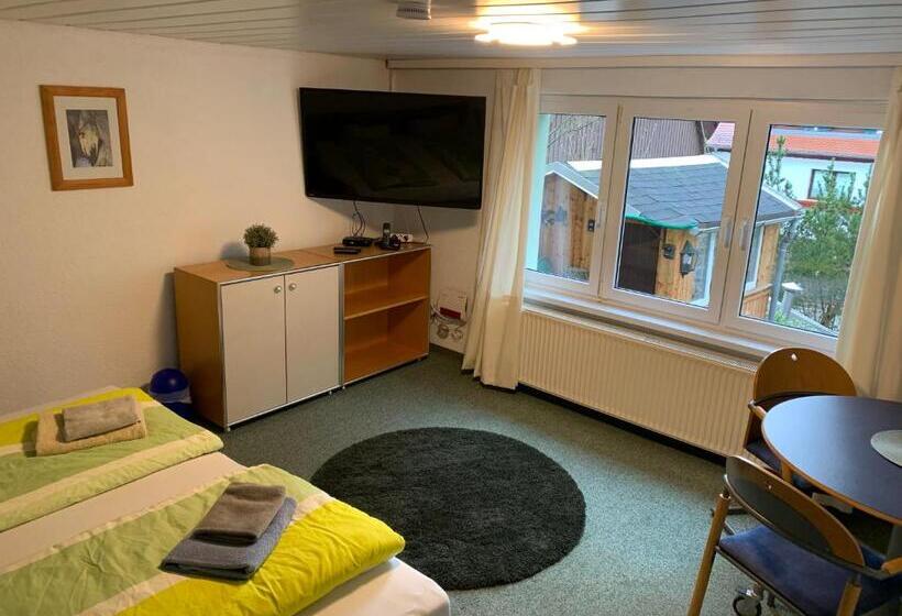 بنسيون Haus Bergfriede