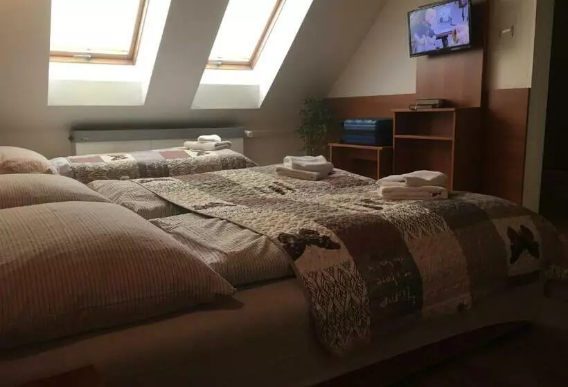 پانسیون Privát Martin