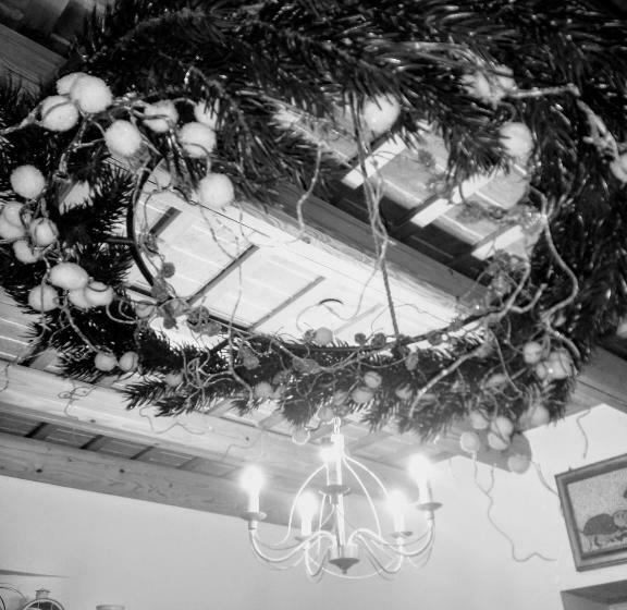 Bed and Breakfast Agriturismo Honey Farm