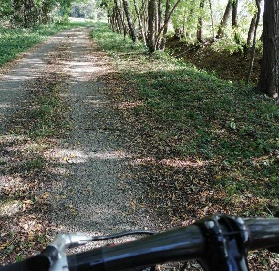 مبيت وإفطار East Wind