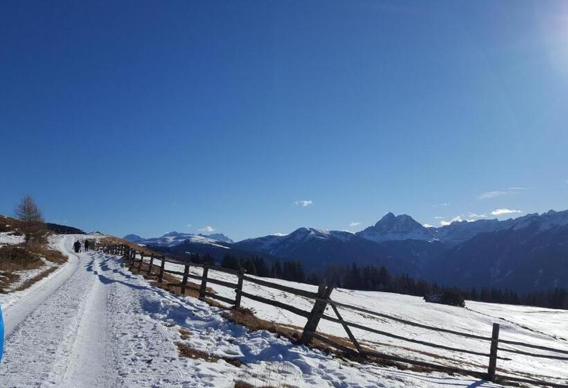 酒店 Appartements Schusterhof