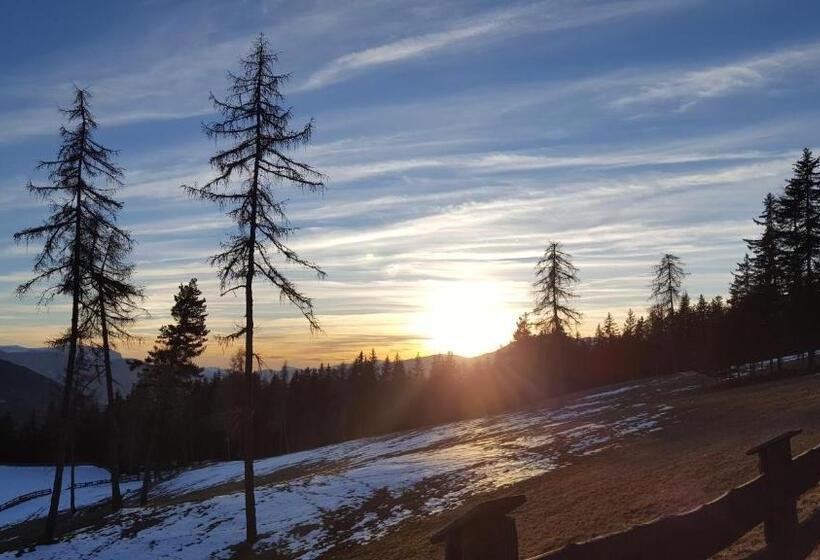 酒店 Appartements Schusterhof