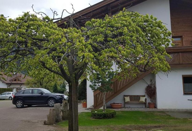 酒店 Appartements Schusterhof