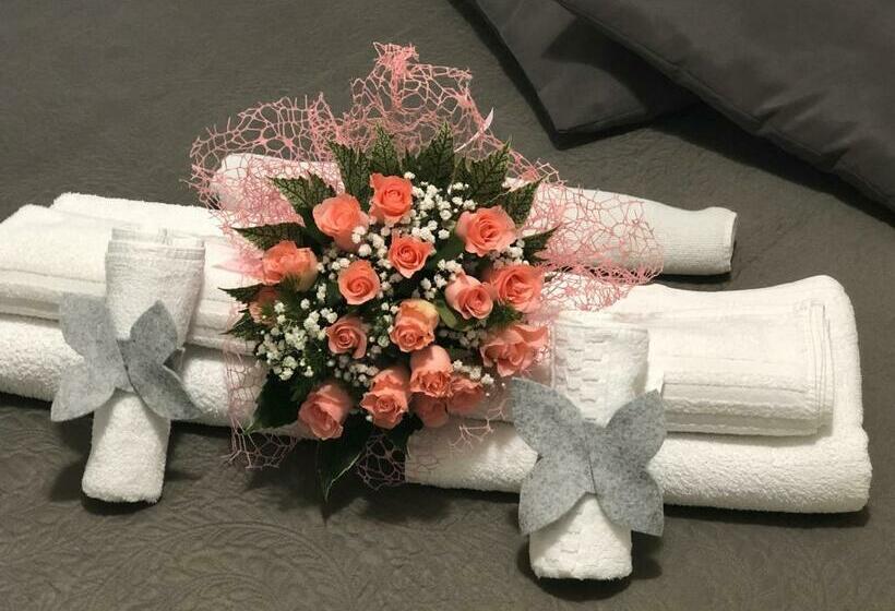 بنسيون Platform1