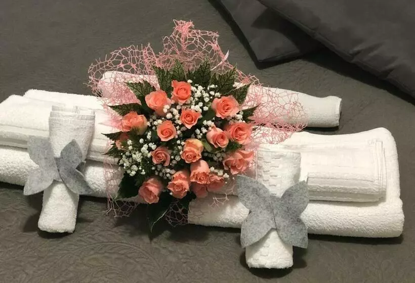 پانسیون Platform1