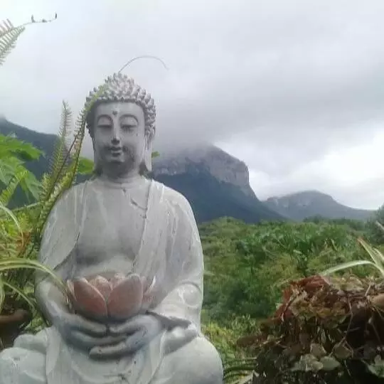 ペンション Vyzuh