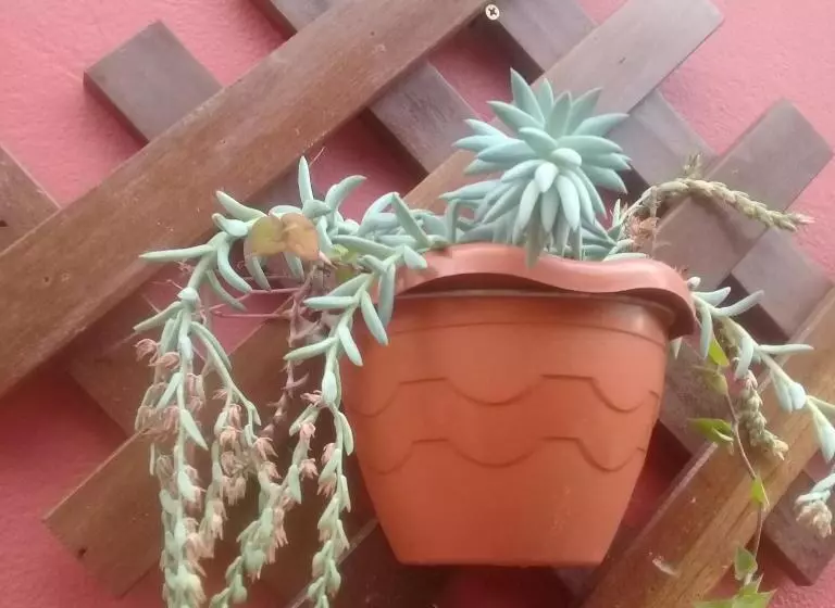 ペンション Vyzuh