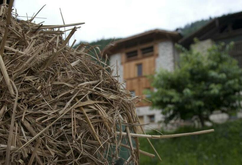 Bed and Breakfast Agricampeggio Ai Gaggi