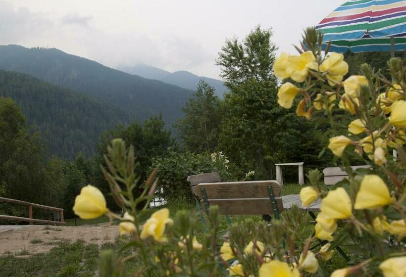 Bed and Breakfast Agricampeggio Ai Gaggi