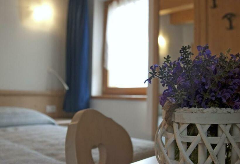 Bed and Breakfast Agricampeggio Ai Gaggi