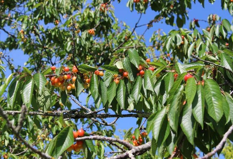 Bed and Breakfast Ancien Haras De La Tour