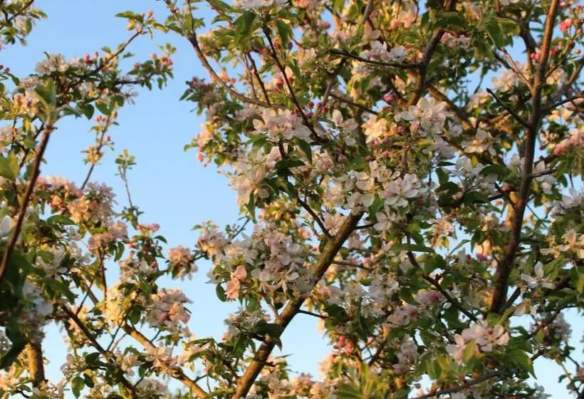 Aamiaismajoitus (B&B) Ancien Haras De La Tour