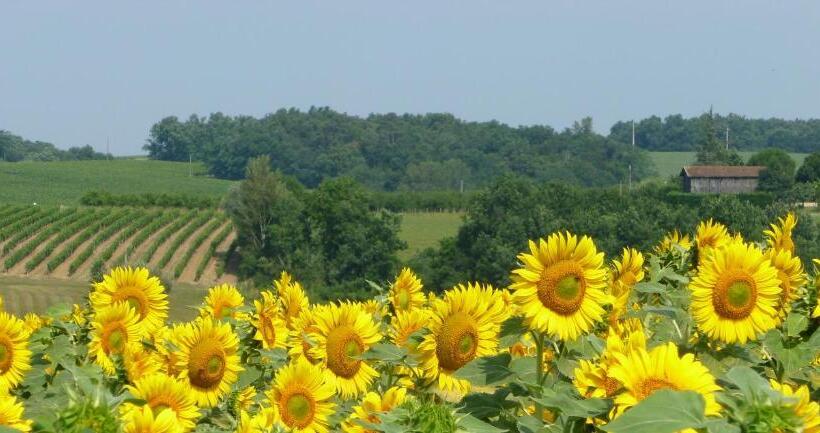 Bed and Breakfast Ancien Haras De La Tour