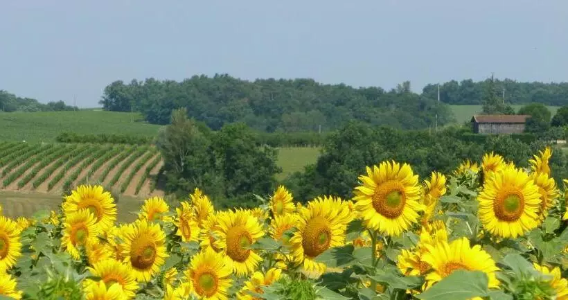 Aamiaismajoitus (B&B) Ancien Haras De La Tour