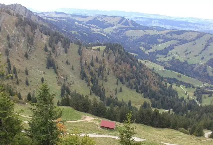 Aamiaismajoitus (B&B) Gästehaus Susanne