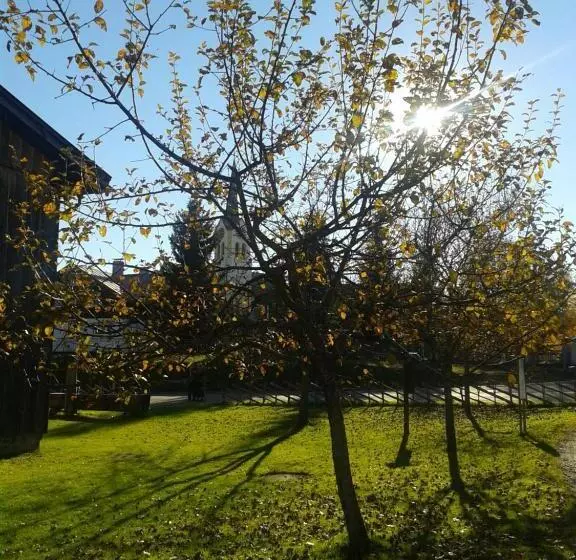 Aamiaismajoitus (B&B) Gästehaus Susanne