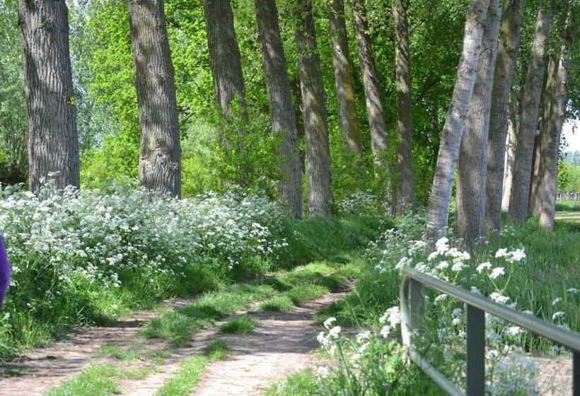 住宿加早餐 Het Steenuiltje