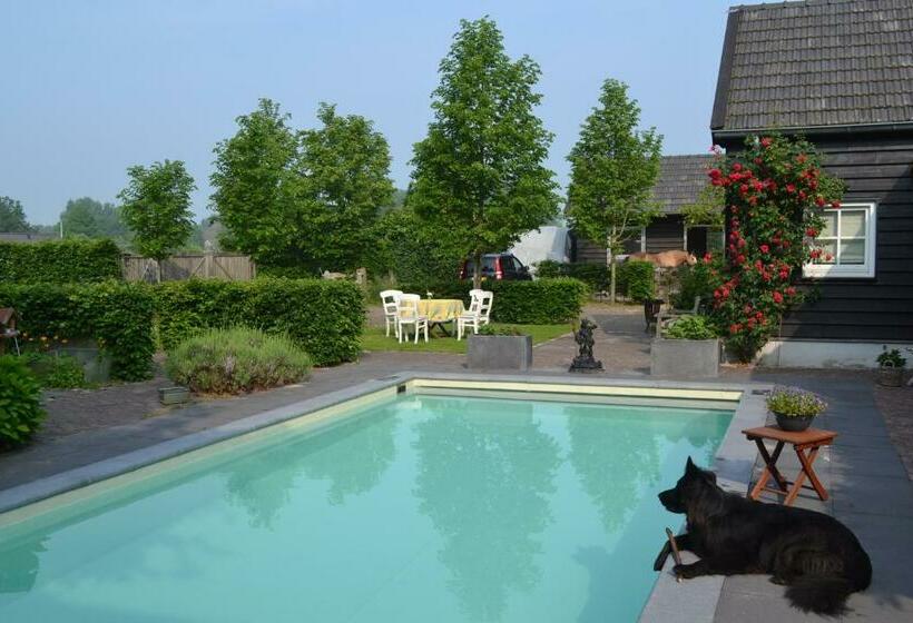 住宿加早餐 Het Steenuiltje