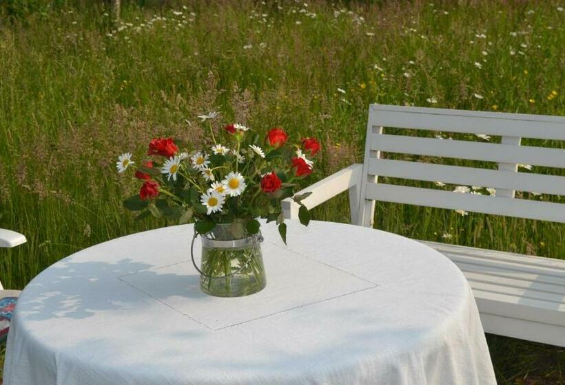 住宿加早餐 Het Steenuiltje