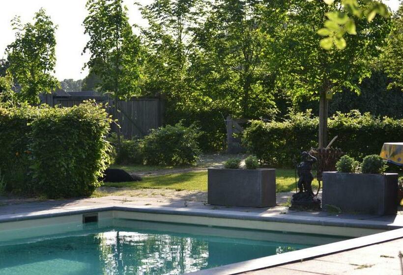 住宿加早餐 Het Steenuiltje