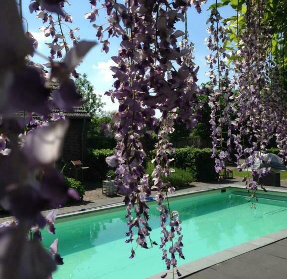 住宿加早餐 Het Steenuiltje