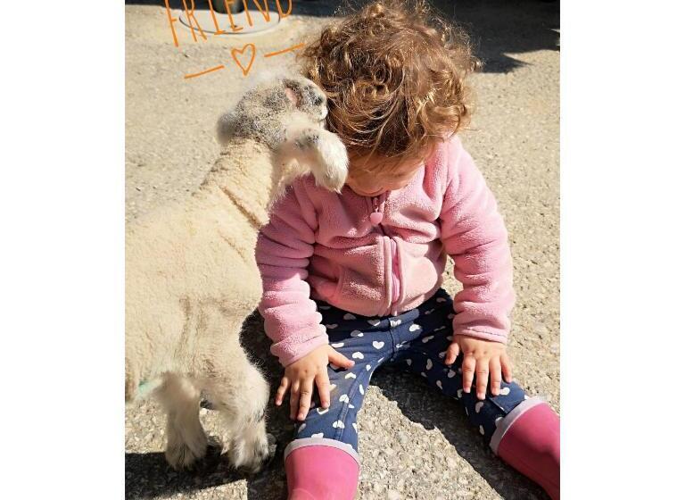 هتل Bauernhof Kure