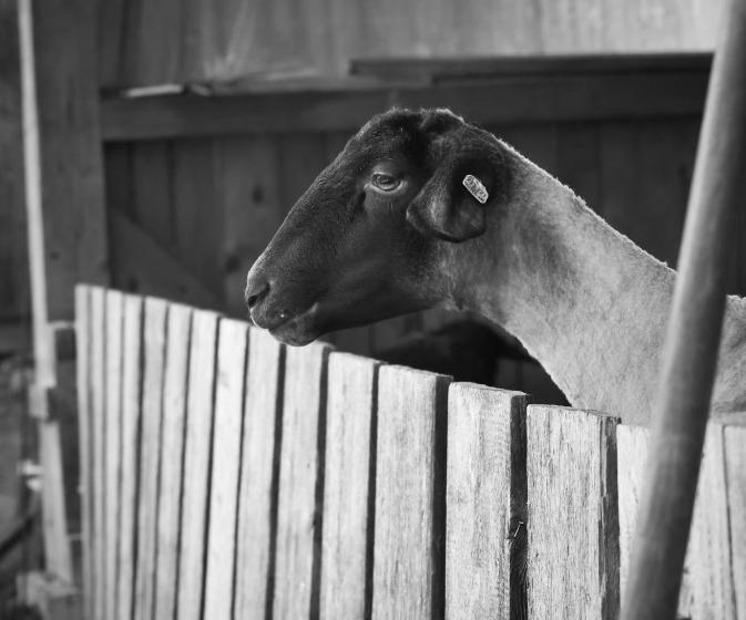 هتل Bauernhof Kure