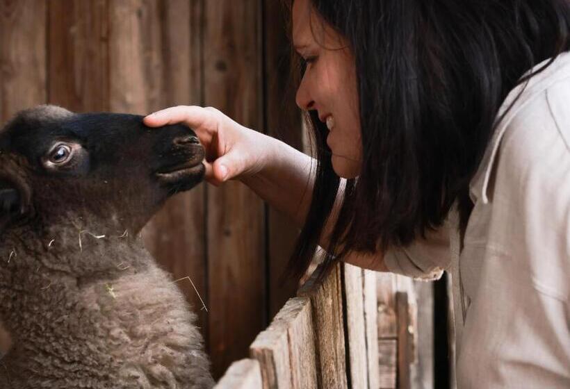 هتل Bauernhof Kure