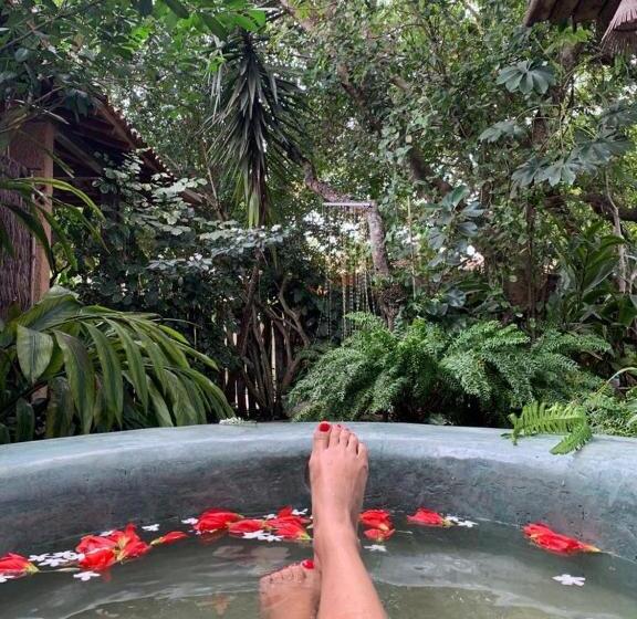 Пансион Pousada Spa Oasis