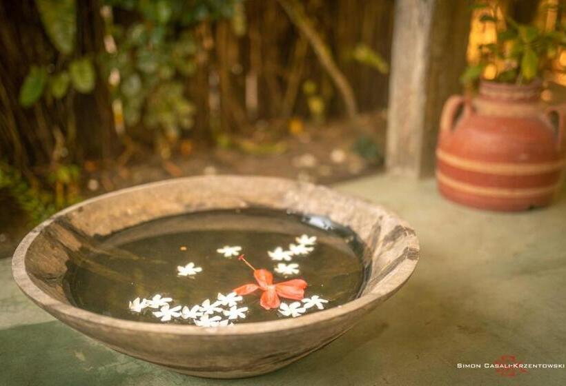 Пансион Pousada Spa Oasis