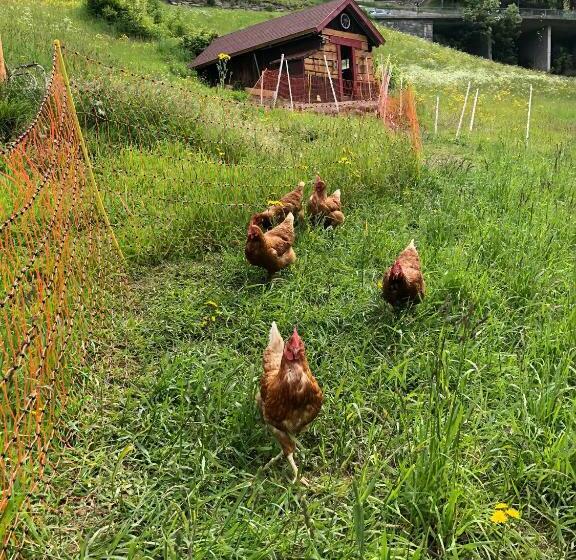 膳宿费 Villa Brandstätter