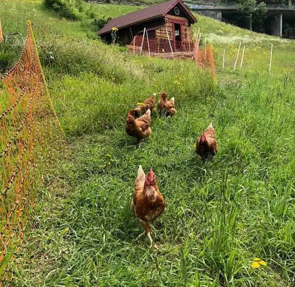 ペンション Villa Brandstätter