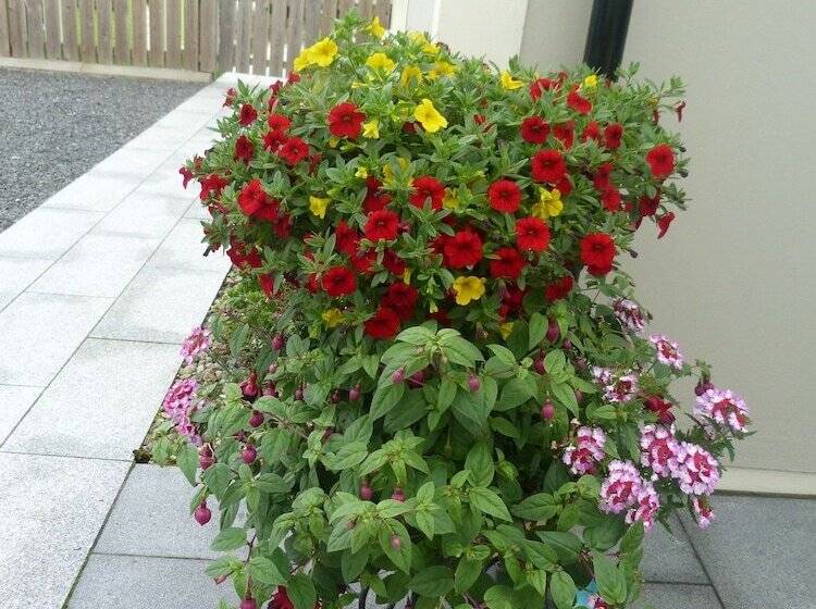 Bed and Breakfast Arvalee Retreat