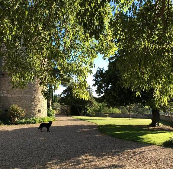 住宿加早餐  Château De Rousson