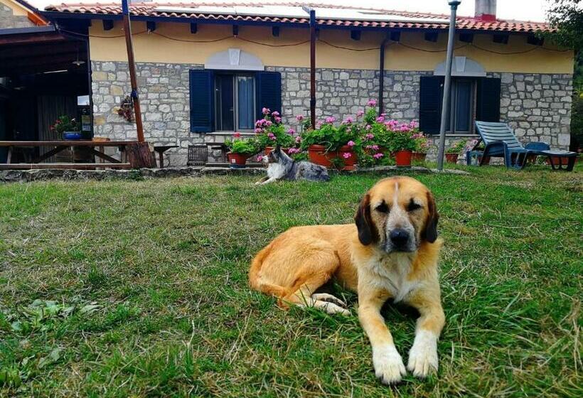 ペンション B&b La Torre