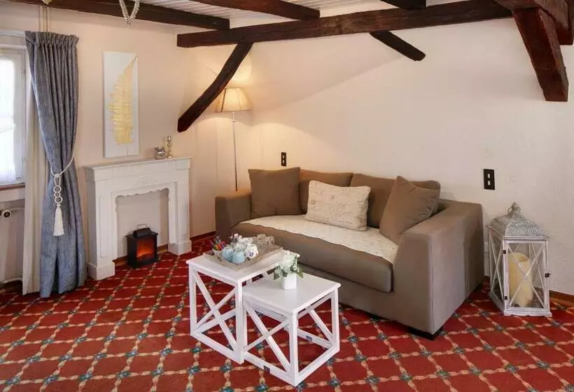 ペンション Historisches Gästehaus Au Faucon