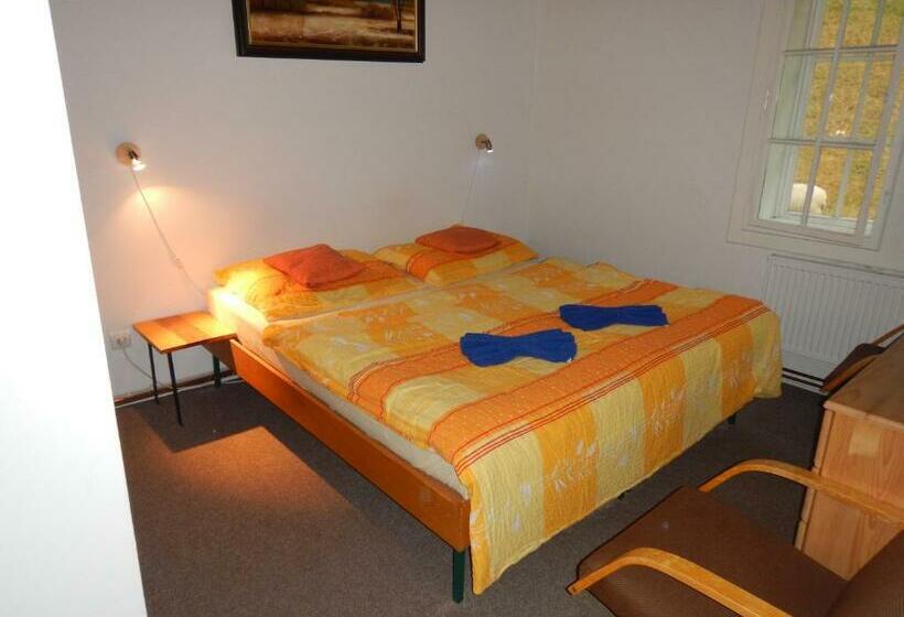 بنسيون Myslivna